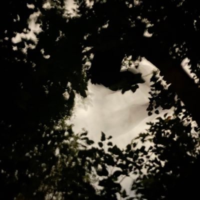 _Tmoney1111's profile picture. 