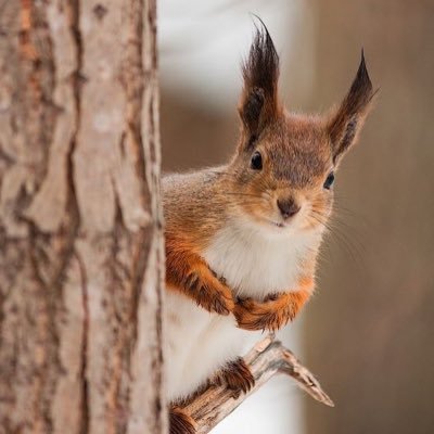 seolmo_'s profile picture. 저 살아있어요 / 비계@vanidanggeun