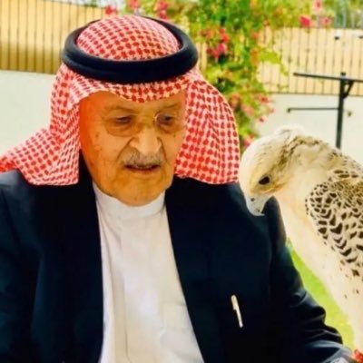 bdlizyza's profile picture. ناشط سياسي شاعر متحدث بلباقه بدوي هواوي