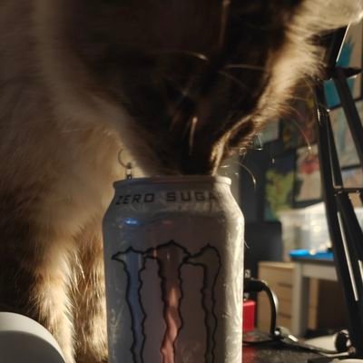 kiixty's profile picture. I somewhat enjoy mousepads | deaf and blind in right eye | code kiixty