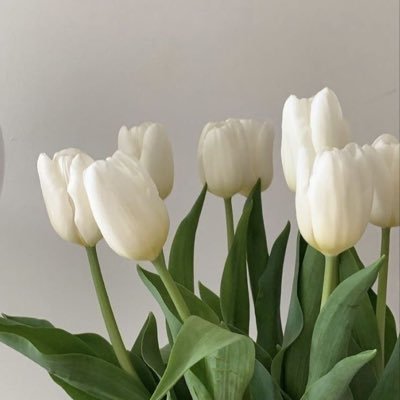 randomdata_x's profile picture. Datos y opiniones random.