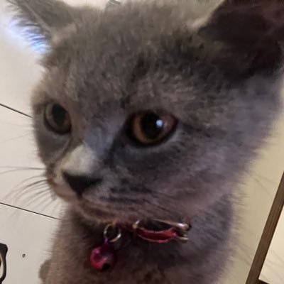 Batur220707's profile picture. from turkey 🇹🇷🇹🇷 18years old has a caffeine addiction