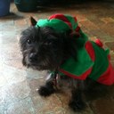 Daniel DiMarco - @masterdpd - Twitter