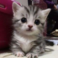 krize ☆ (@es30044) 's Twitter Profile