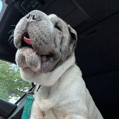 CP12CP12CP12's profile picture. Any government that can silence its critics has license to any kind of atrocity.