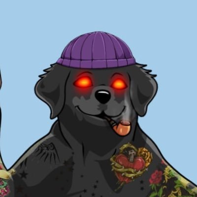 Builder | Proud Aerobud holder 👑 | Save dogs 🐕 Stay #based
