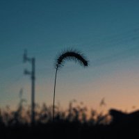 Иuk3toши (@kingfluffy000) 's Twitter Profile