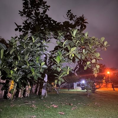 tecnoceel's profile picture. chatran@79