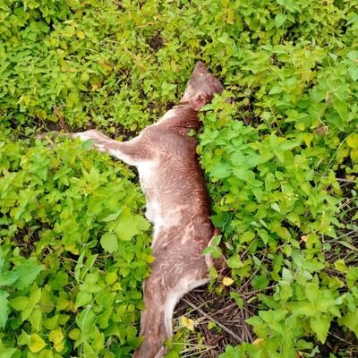 alagie_sow's profile picture. Single