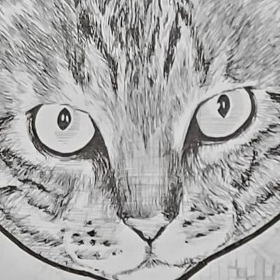 キヨコ(更年期)さんのプロフィール画像