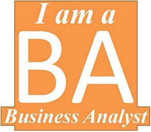 business analyst