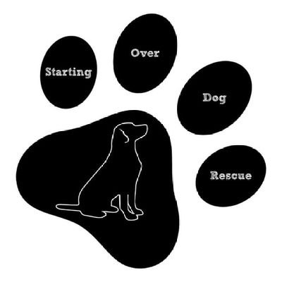 I am not a profit registered charity
run solely by unpaid volunteers all donation are tax deductible.
please donate to save a dog today 🤝❤️