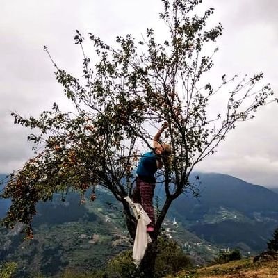 zubeydeuslu3561's profile picture. 