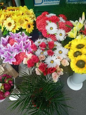 florinm71408745's profile picture. I am tender