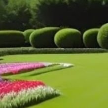 Abresh2424's profile picture. Crypto is good for 2024