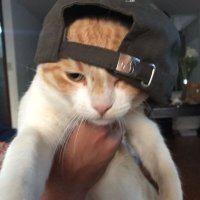 Juancinnn (@juacinnn11) 's Twitter Profile Photo Juancinnn (@juacinnn11) 's Twitter Profile Photo