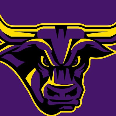 MSUHockeyRJM's profile picture. 