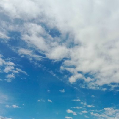 PriyankaWa53464's profile picture. Nature explorer 🌿🍃|| Brave & Beautiful ✨🌼|| Software Engineer  💻