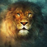 LION DERNASTY⛺ (@ibkhady4real) 's Twitter Profile