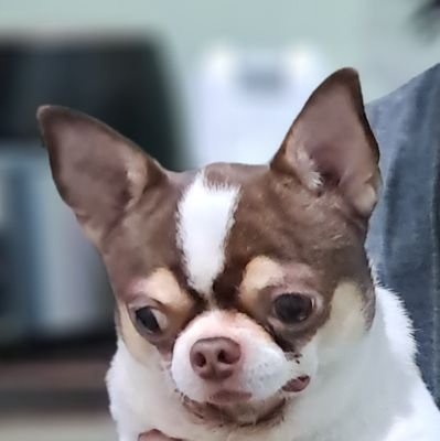 mtskcnuuy's profile picture. Mahasiswa FIB paling tidak berbudaya