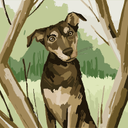 Mike Gurule - @gurulem440 - Twitter