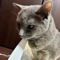 榎田ユウリ/榎田尤利/Eda Yuuri (@edayuuri) 's Twitter Profile Photo 榎田ユウリ/榎田尤利/Eda Yuuri (@edayuuri) 's Twitter Profile Photo