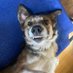 Bonio (@suzanne48593438) Twitter profile photo Bonio (@suzanne48593438) Twitter profile photo