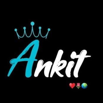 Ankit Profile