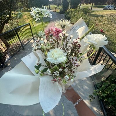 miguelrjacinto's profile picture. 