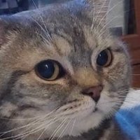 Jbasch (@jbaschel) 's Twitter Profile