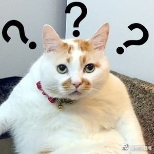 granderose666's profile picture. 