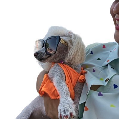 marisol_arga's profile picture. Fui, soy y seré...