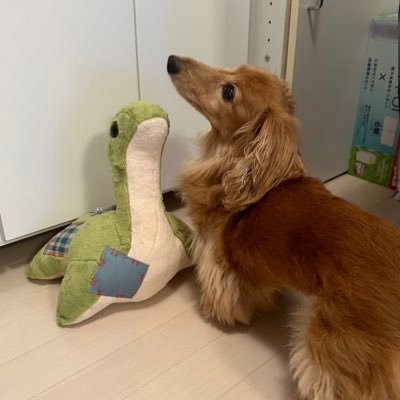 🔰麻雀勉強中🀄️Mリーグ→TEAM雷電🫵⚡️全力応援!📣本田朋広🐹プロ最推し✨ですがMリーガーみんな好き😊新人ユニバースですがよろしくお願いします!/Nissy💋/GLAY/ミセス🍏/🎮Apex◆趣味用アカウント作りました。無言フォロー失礼します🙏