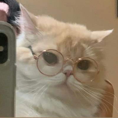 cat lovers