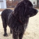 Michael Barton - @michaelrhbarton - Twitter