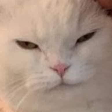 AmberLaurant's profile picture. I'm sorry for follow without say something.Chinese🇨🇳.革命/开国/因缘，🗝💸