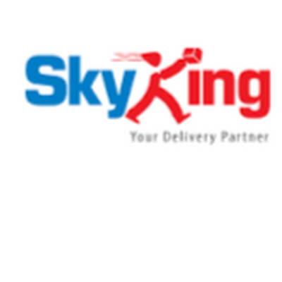 RaipurSkyking's profile picture. 