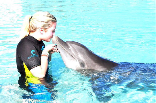 charlieflatt's profile picture. ... What doesn’t kill you only makes you blonder ...