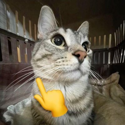 bilikieu's profile picture. 