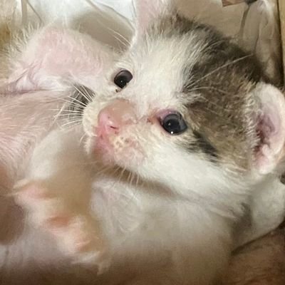 亜矢さんのプロフィール画像