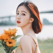 司蒂(互fo) (@wildfiredv) 's Twitter Profile