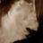 Topcatxxx's profile image