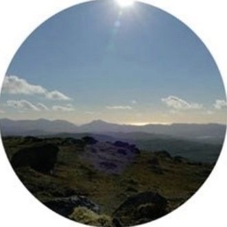 Paul69405499's profile picture. 