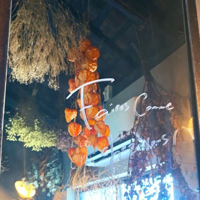 syatisaikyo's profile picture. 成人済み