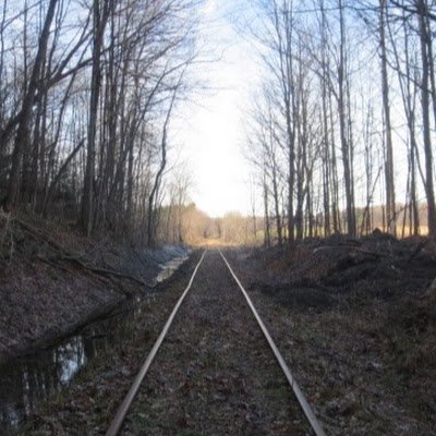 43G1940590's profile picture. 