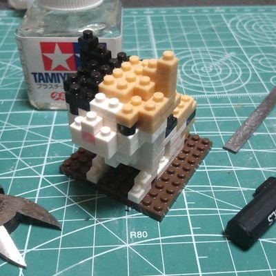 釜猫 (@kamaneko365) / Posts / X