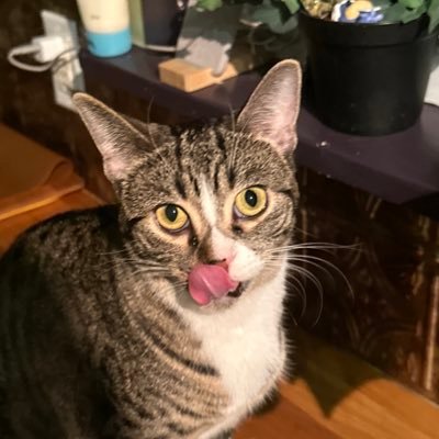 tracyj456's profile picture. 🇨🇦Wife, mom, musician, teacher, friend, gardener, reader, 🌈 Ally. Are you Anti-Trans? GTFO. Former Disney cast member ❤️StarWars & Marvel