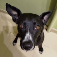 Wojtek (@wojmik) 's Twitter Profile