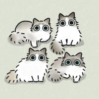 エマルカトワニコ^._.^ラグドール (@emlktwnc) 's Twitter Profile Photo エマルカトワニコ^._.^ラグドール (@emlktwnc) 's Twitter Profile Photo