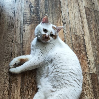 dongdong0624's profile picture. 自由自在～一起看世界⭐️互fo 努力关注～努力回关ing